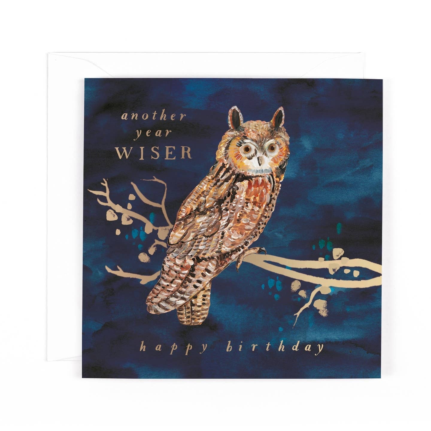 Another Year Wiser Birthday Card
