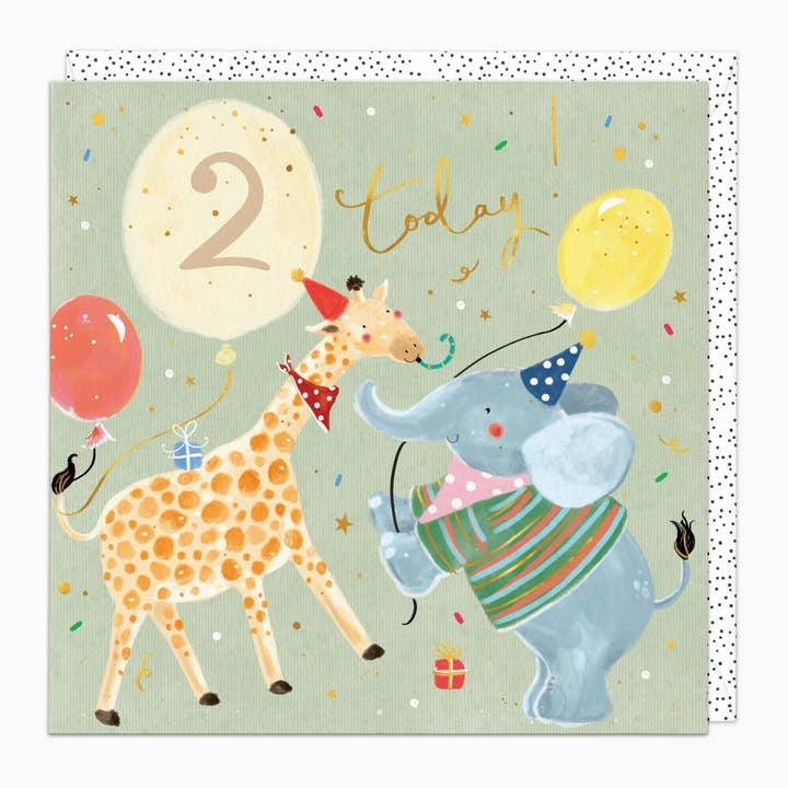 2nd Giraffe  Age Birthday Card