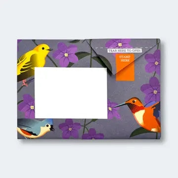 Carnival Of Colour Letter Set