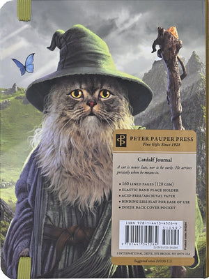 Catdalf Midsize Journal