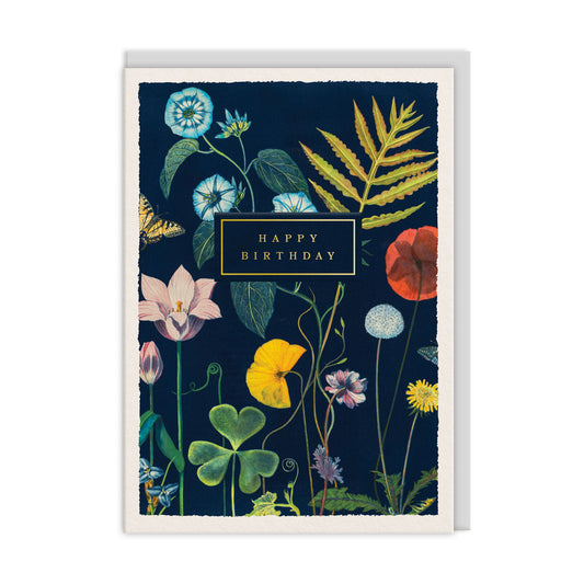 Poppies Birthday Card