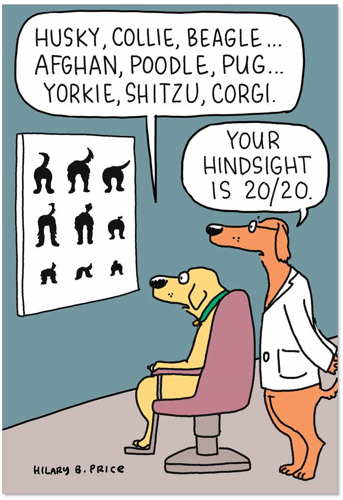 Greeting card featuring an illustration of two dogs in an optician setting. One sits in a chair looking at a chart filled with images of different sizes of dog butts, while the other stands behind wearing a white lab coat. The text 'Husky, collie, beagle... Afghan, poodle, pug... Yorkie, shitzu, corgi.' is printed in a speech bubble over the seated dog while 'Your hindsight is 20/20' is printed in a bubble over the coated dog. 