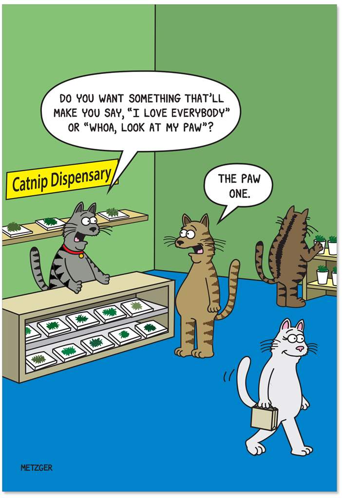 Catnip Dispensary Birthday Card