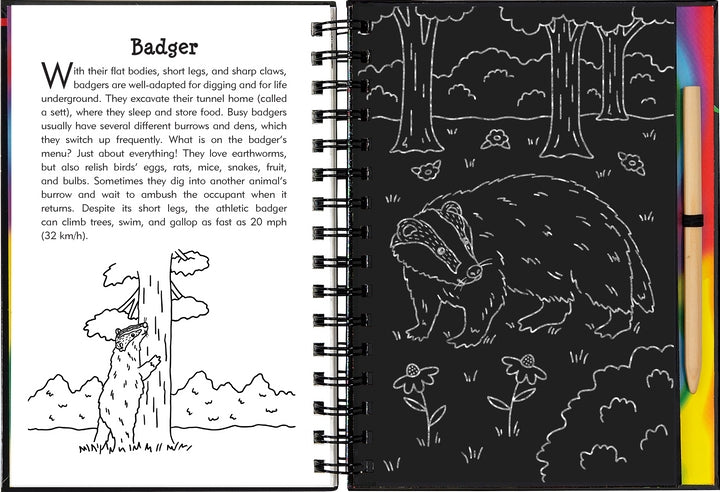 Scratch & Sketch Activity Book | Nocturnal Animals
