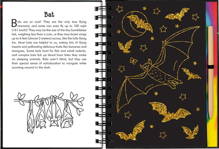Scratch & Sketch Activity Book | Nocturnal Animals