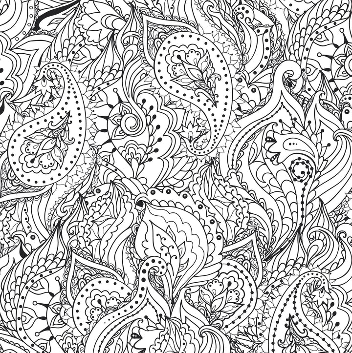 Peaceful Paisleys Colouring Book