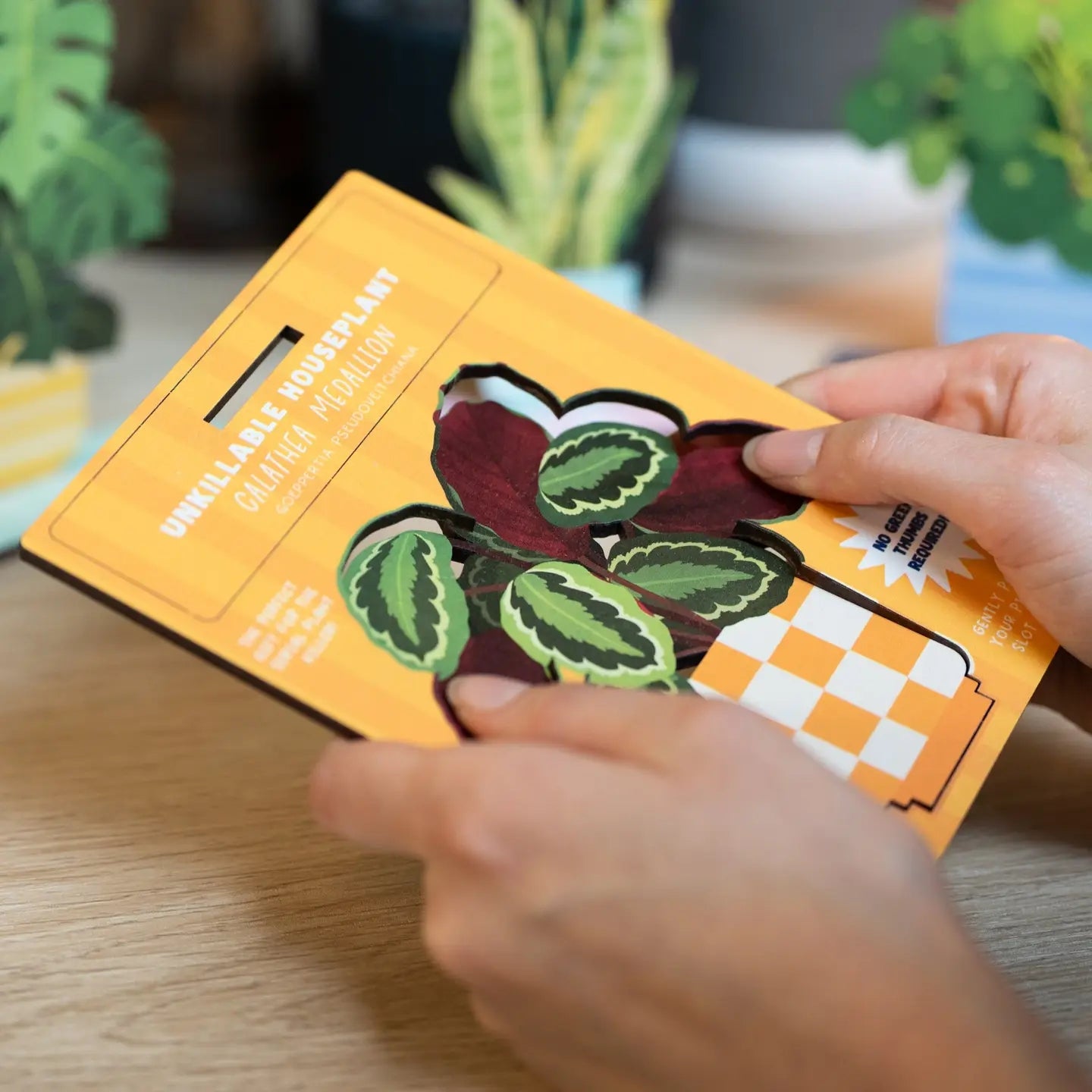 Dapple & Dot Wooden Pop Out Card | Calathea Medallion