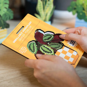 Dapple & Dot Wooden Pop Out Card | Calathea Medallion