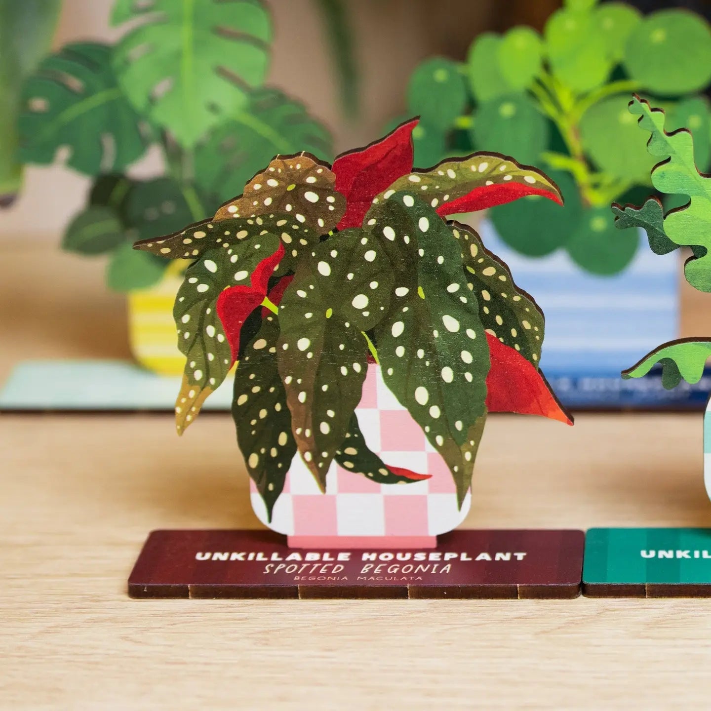Dapple & Dot Wooden Pop Out Card | Spotted Begonia