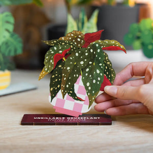 Dapple & Dot Wooden Pop Out Card | Spotted Begonia