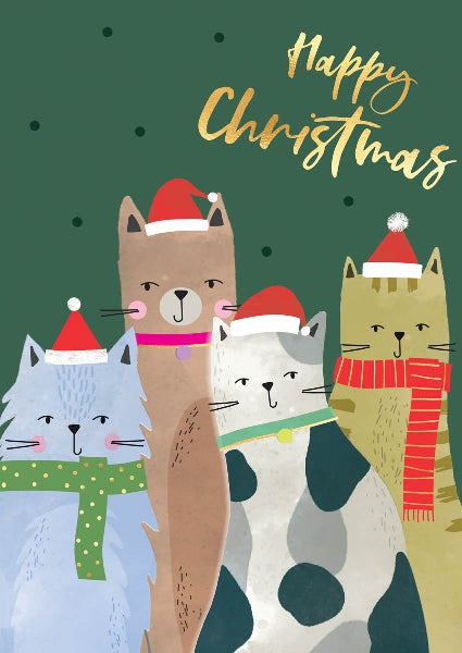 Cats In Scarves Christmas Card