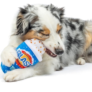A blue novelty toy designed to look like an ice cream cup.  The logo for 'Blast' is printed on the centre of the toy while the text 'Icy Treat' is also printed on the toy. The toy is pictured beside a dog. 