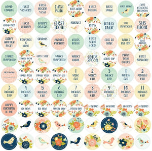 My Life As A  Baby: A First Year Calendar (Birds)