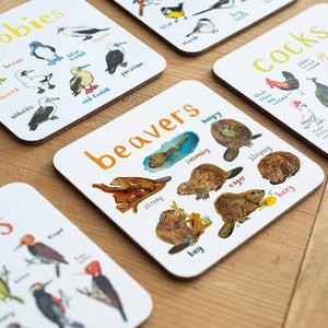 Coaster featuring illustrations of beavers on a white background. Each beaver is labelled, while the text 'Beavers' is printed on the top. The coaster sits on a white surface beside other coasters. 