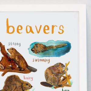 Close up of an art print with labelled illustrations of beavers. The text 'Beavers' is printed on top of the images. The print is in a white frame.