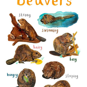 Closeup image of an art print with labelled illustrations of beavers. The text 'Beavers' is printed on top of the images. The print is in a white frame.