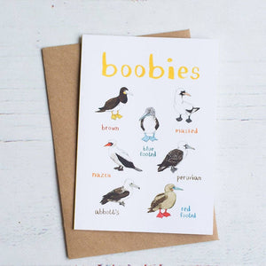Greeting card featuring colourful bird illustrations. The heading 'Boobies' s printed over the birds while each image is labelled with smaller text. The card sits on top of a brown envelope.