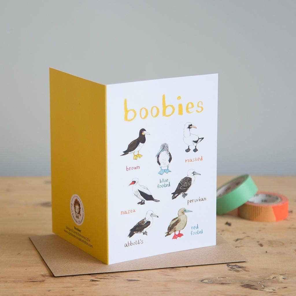 Greeting card featuring colourful bird illustrations. The heading 'Boobies' s printed over the birds while each image is labelled with smaller text. The card sits on a wooden surface, on top of a brown envelope.
