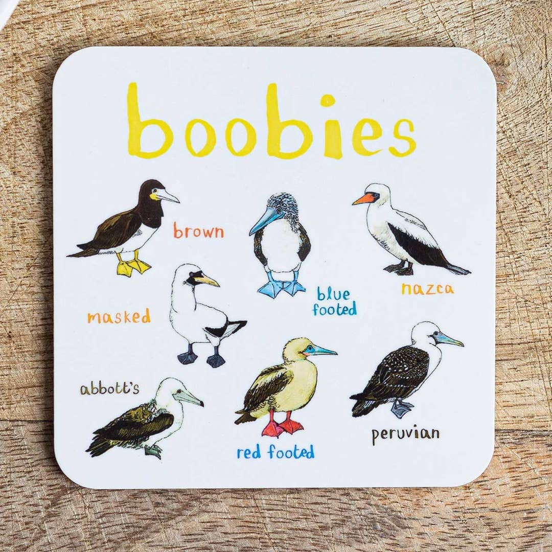 Coaster featuring illustrations of birds on a white background. Each bird is labelled, while the text 'Boobies' is printed on the top. The coaster sits on a wooden surface.
