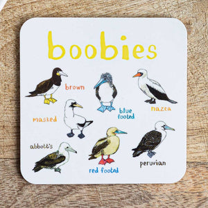 Coaster featuring illustrations of birds on a white background. Each bird is labelled, while the text 'Boobies' is printed on the top. The coaster sits on a wooden surface.