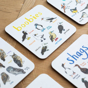 Set of coasters with bird illustrations and names on a wooden surface.