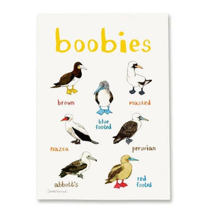 An image of an art print with labelled illustrations of birds. The text 'Boobies' is printed on top of the images. 