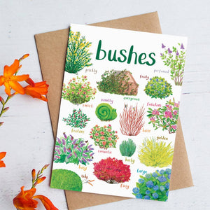 Greeting card featuring colourful illustrations of bushes on a white background. The heading 'Bushes' is printed at the top of the card while each of the illustrations is labelled with smaller text. The card sits on a brown envelope on a white surface. 