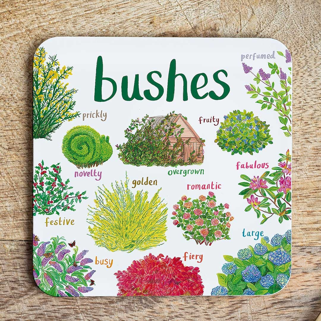 Coaster featuring illustrations of bushes on a white background. Each bush is labelled while the text 'bushes' is printed on the top. The coaster sits on a wooden surface.