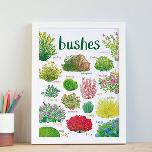An image of an art print with labelled illustrations of bushes. The text 'bushes' is printed on top of the images. The print is in a white frame and stands on a wooden surface.