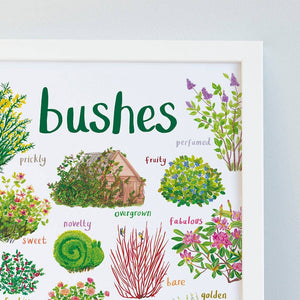 Close up image of an art print with labelled illustrations of bushes. The text 'bushes' is printed on top of the images. The print is in a white frame.