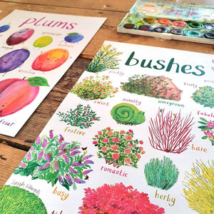 Close up of an image of an art print with labelled illustrations of bushes. The text 'bushes' is printed on top of the images. The print lies flat on a wooden surface alongside another print and a watercolour paint set. 