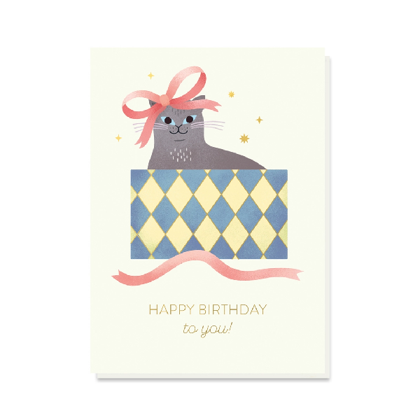 Cat In A Box Birthday Card