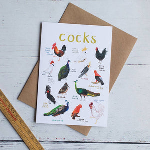 Greeting card featuring illustrations of cock birds on a white background. The heading 'cocks' is printed at the top of the card while each of the images are labelled with smaller text. The card lies on top of a brown envelope on a white surface, beside a ruler. 
