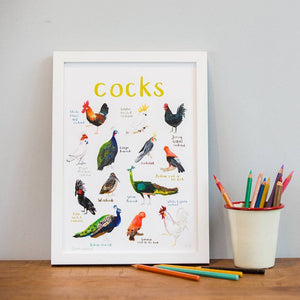 An image of an framed art print with labelled illustrations of cock birds. The text 'cocks' is printed on top of the images. The print stands on a wooden surface beside a container of coloured pencils. 