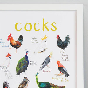 Close up of a framed art print with labelled illustrations of cock birds. The text 'cocks' is printed on top of the images.