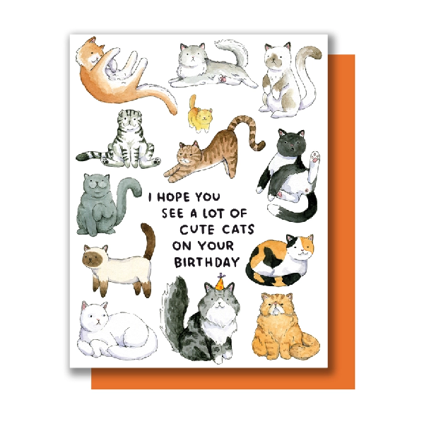 White birthday card. Different kinds of cats, such as calico, tabby, persian, and others, surround the text "i hope you see a lot of cute cats on your birthday" in the middle of the card. 
