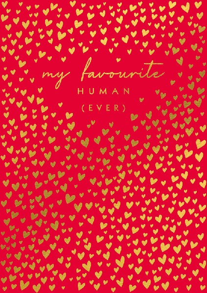 Favourite Human Love Card