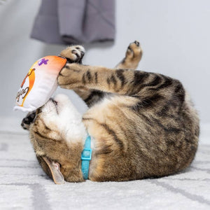 Image of a cat lying on it's back and holding a toy between it's paws, against it's nose. The cat looks like it's having a good time. 