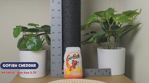 A novelty cat toy designed to look like a pack of Goldfish crackers. The logo for 'Go Fish' is printed at the top of the toy. An illustration of an orange cat is pictured catching a fish with a fishing rod while other fish are shown below. The toy is pictured on a surface in front of a ruler and two potted plants.
