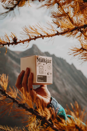 Milkjar 8 oz. Candle | Golden Hour