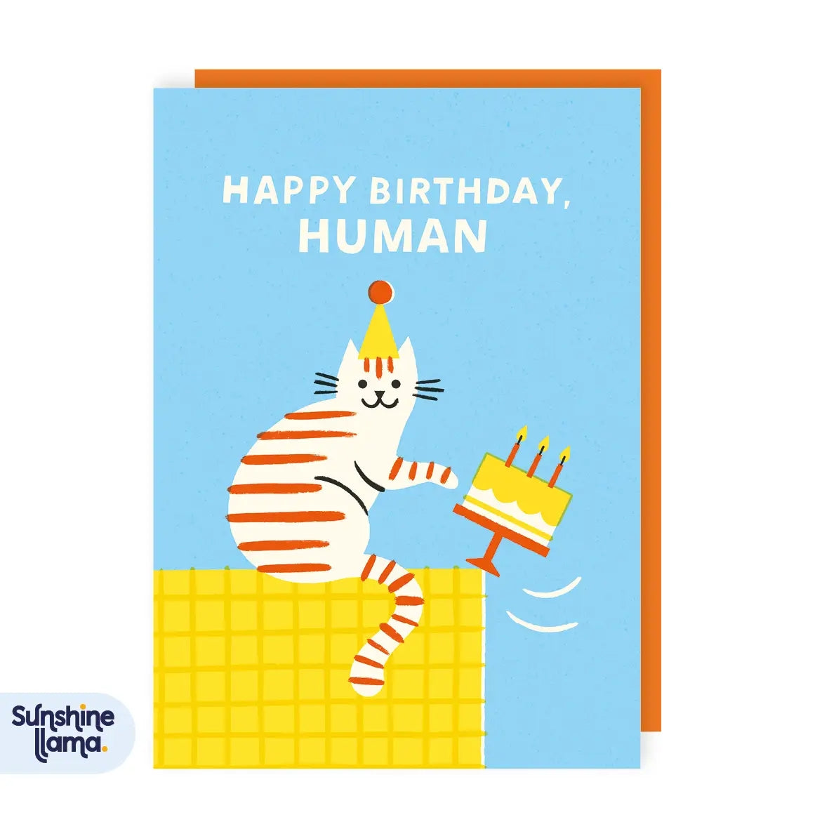 Greeting card featuring an illustration of a striped cat wearing a party hat and knocking a birthday cake from a table. The text 'Happy Birthday, Human' is shown on a blue background.