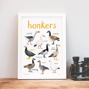 An image of an art print with labelled illustrations of geese. The text 'honkers' is printed on top of the images. The print is in a white frame and stands on a wooden.