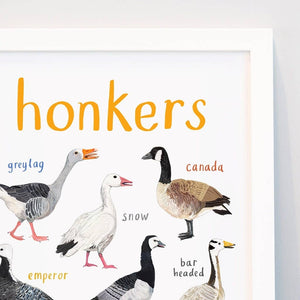 Closeup of an art print with labelled illustrations of geese. The text 'honkers' is printed on top of the images. The print is in a white frame.