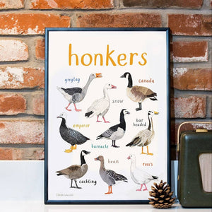 An image of an art print with labelled illustrations of geese. The text 'honkers' is printed on top of the images. The print is in a black frame and stands on a white surface, against a red brick wall. 