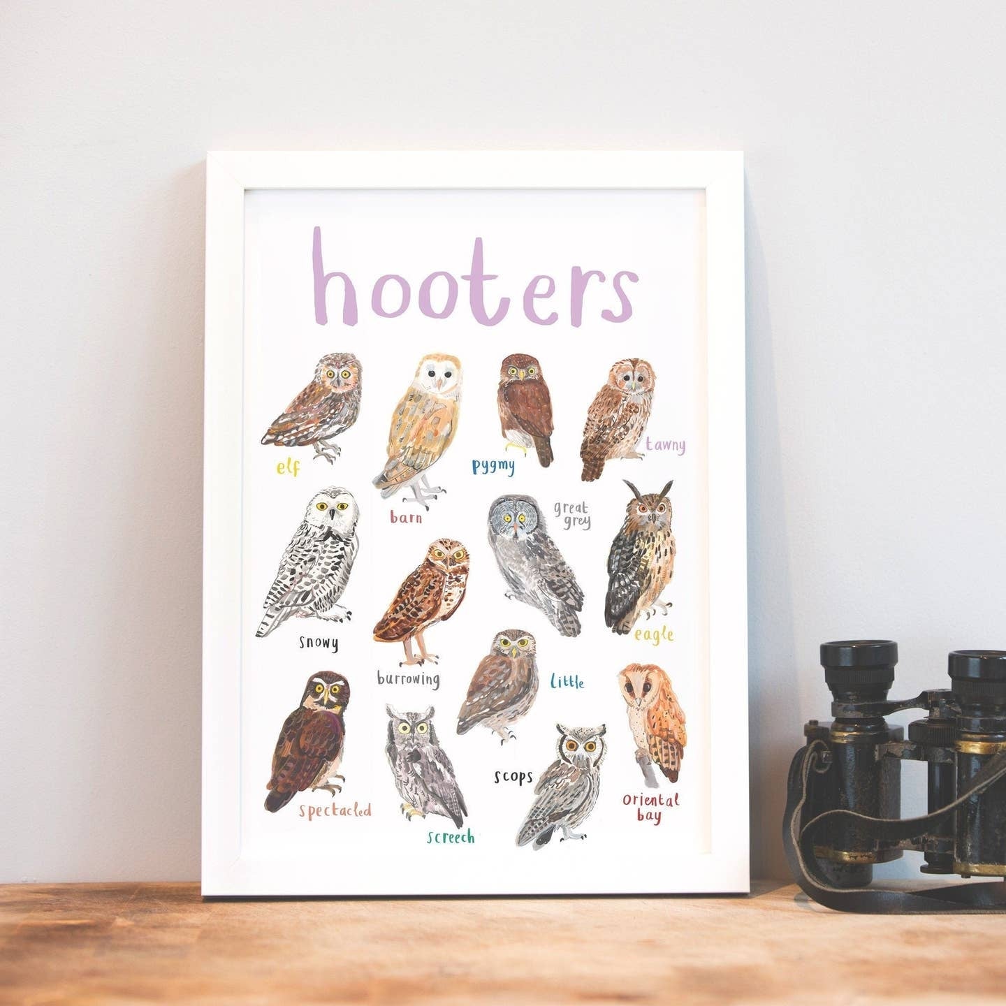 An image of a framed art print with labelled illustrations of owls. The text 'hooters' is printed on top of the images. The print stands on a wooden surface against a white wall.