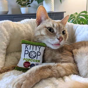 Image of a cat sitting beside a toy that is designed to look like a bag of Kitty Pop Popcorn. The cat is looking very relaxed and conten. 