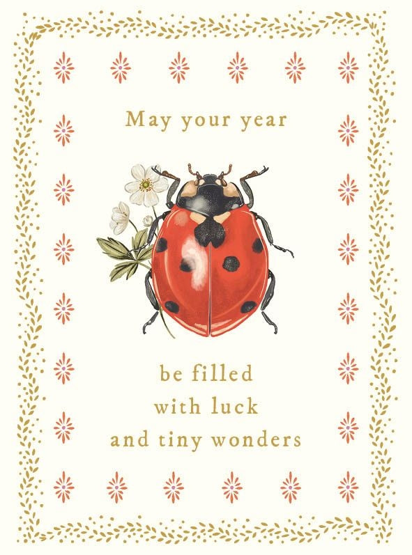 Ladybug Birthday Card