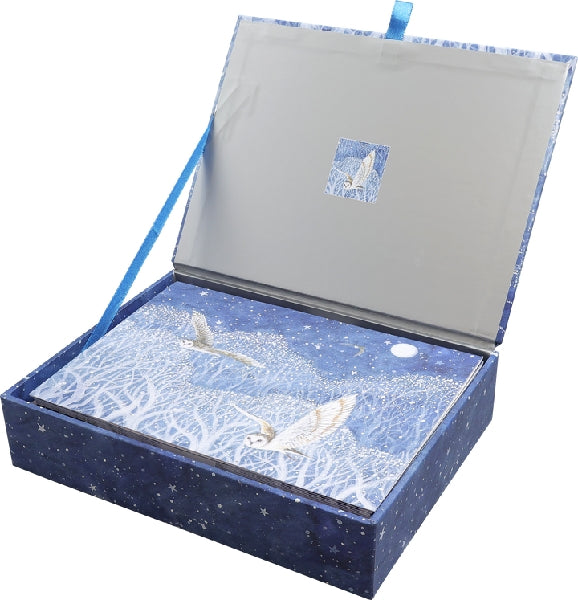 Owls In Flight Boxed Holiday Cards | Set of 20