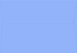 Periwinkle Thank You Notecards