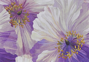 blank card by peter pauper. the cover shows a close up of painted purple poppies